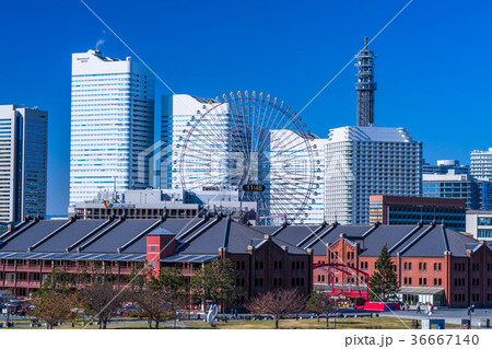 《神奈川県》横浜みなとみらい・都市風景 36667140