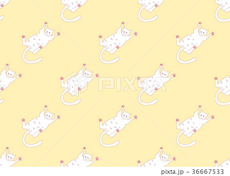 White Cute Cat Laying on Back Yellow Background 36667533