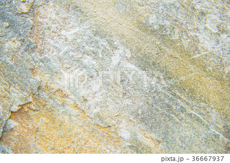 岩の表面 36667937