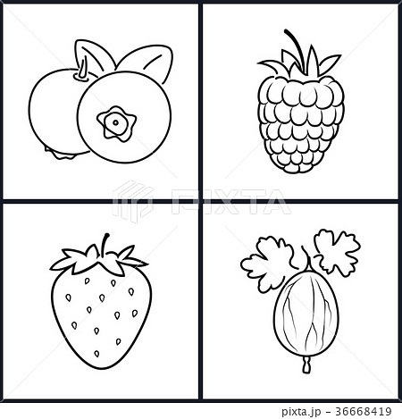 Strawberry,Raspberries, Blueberries, Gooseberry 36668419