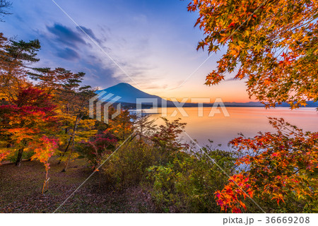 Fuji Mountain in Autumn Fuji Mountain in Autumn 36669208