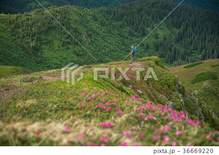 Woman on top of mountain 36669220