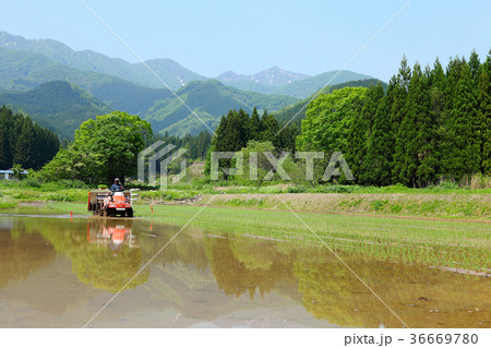 里山の田植え 36669780