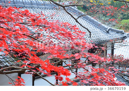 根本山神峯山寺 根本山神峯山寺 36670159