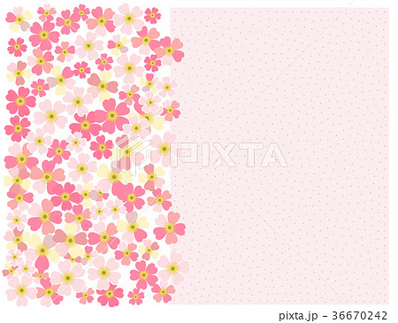 romantic floral background Flower Japanese daisie 36670242