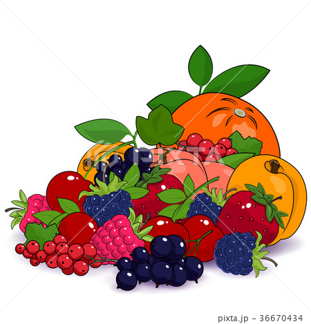 Juicy Summer Fruits and Berries 36670434
