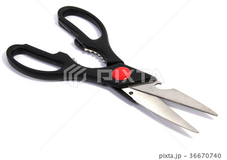 Kitchen scissors shears stainless steel.  36670740