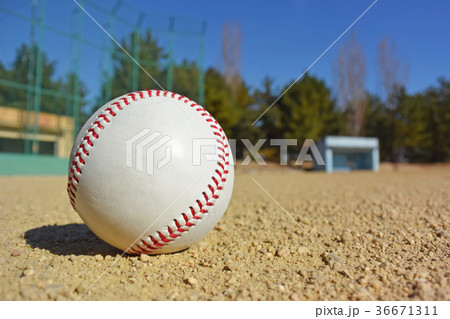 輝ける野球ボール 輝ける野球ボール 36671311