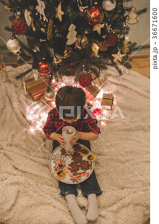 Boy laying under christmas tree with chocolate 36671600