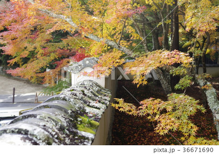 吉備路宝福寺の紅葉 吉備路宝福寺の紅葉 36671690
