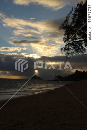 ハワイ　ラニカイビーチの朝 36671757