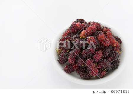 クワの実 36671815