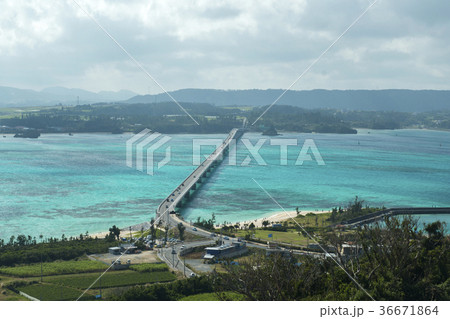 沖縄　古宇利大橋　古宇利島 36671864
