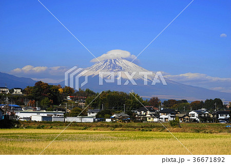 11月　富士山1902三島佐野 36671892