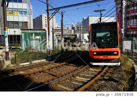 11月 都電荒川線03大塚駅前カーブ 11月 都電荒川線03大塚駅前カーブ 36671936