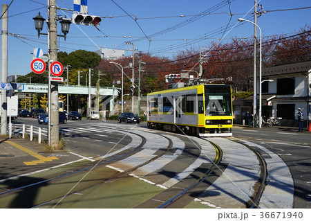 11月　都電荒川線07飛鳥山駅前カーブ 36671940