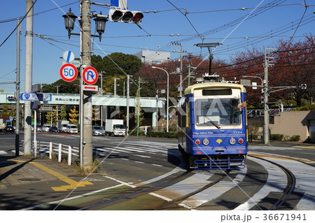 11月 都電荒川線08飛鳥山駅前カーブ 11月 都電荒川線08飛鳥山駅前カーブ 36671941