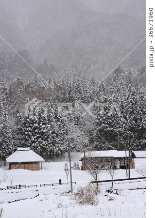 白馬村の冬 南神城 白馬村の冬 南神城 36671960