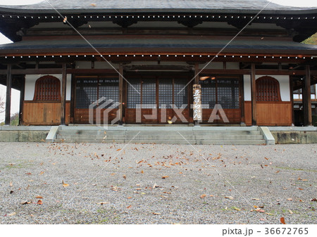 枯れ葉が舞う滋賀県彦根市にある天寧寺の境内と仏殿です 枯れ葉が舞う滋賀県彦根市にある天寧寺の境内と仏殿です 36672765