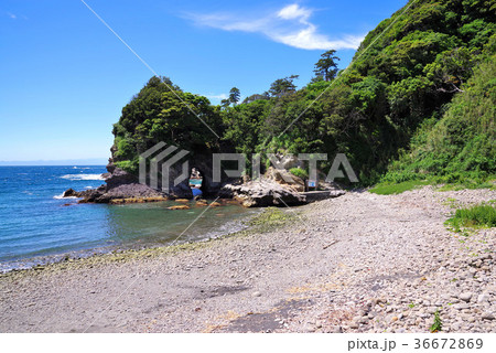 伊豆半島の浮島海岸 36672869
