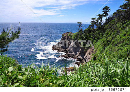 伊豆半島の浮島海岸 36672874