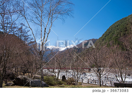 駒ヶ岳 信州駒ヶ根より望む 駒ヶ岳 信州駒ヶ根より望む 36673083