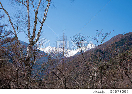 駒ヶ岳 信州駒ヶ根公園より望む 駒ヶ岳 信州駒ヶ根公園より望む 36673092