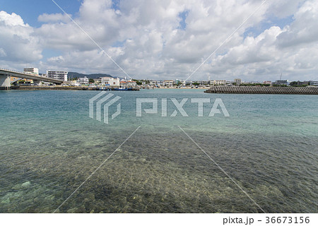 南の浜町緑地公園から登野城漁港方面の眺め（石垣島） 36673156