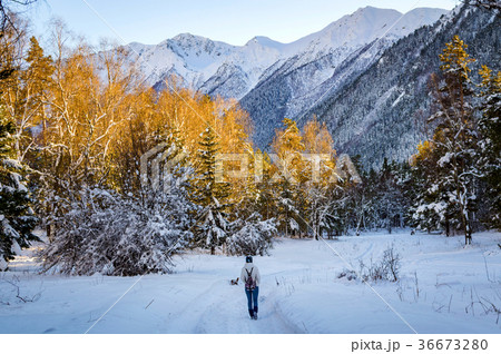 Girl walking on path in snowy winter mountains Girl walking on path in snowy winter mountains 36673280
