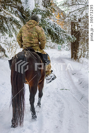 Man in camouflage rides a horse in winter forest. 36673295