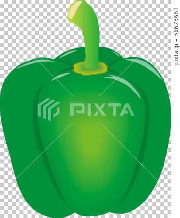 辣椒粉(綠色) 辣椒粉(綠色) 36673661