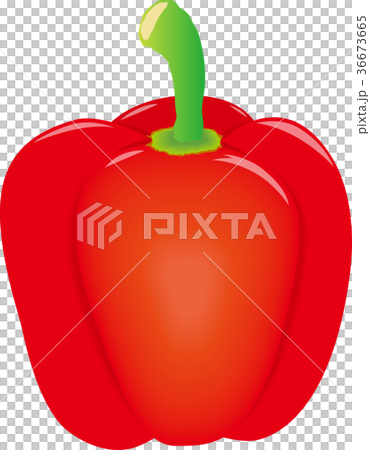 辣椒粉（紅色） 36673665