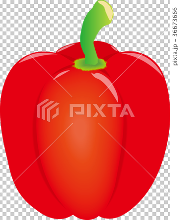 辣椒粉(紅色) 辣椒粉(紅色) 36673666