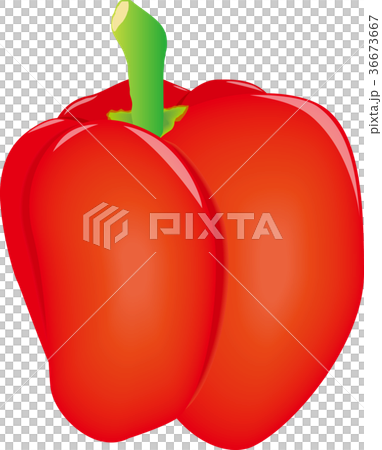 辣椒粉（紅色） 36673667