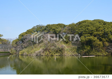 茶臼山古墳（天王寺公園／大阪市天王寺区茶臼山町） 36673677