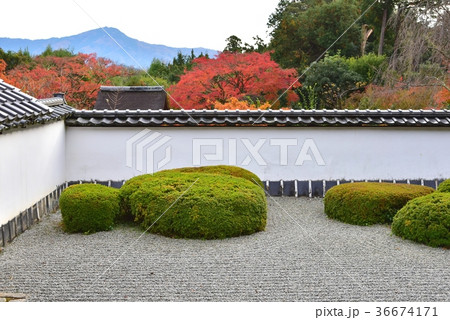 京都、正伝寺 36674171