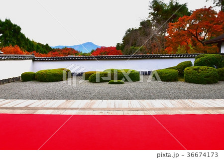 京都、正伝寺 京都、正伝寺 36674173