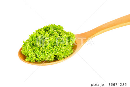 Swamp algae on a white background 36674286
