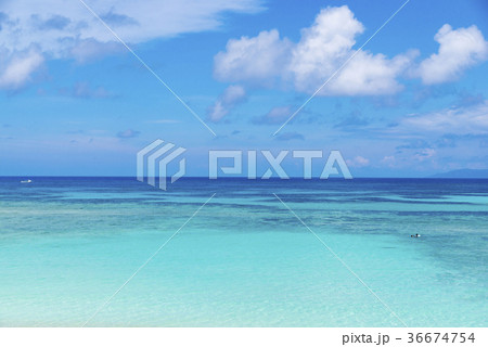 ニシハマ(波照間島) ニシハマ(波照間島) 36674754