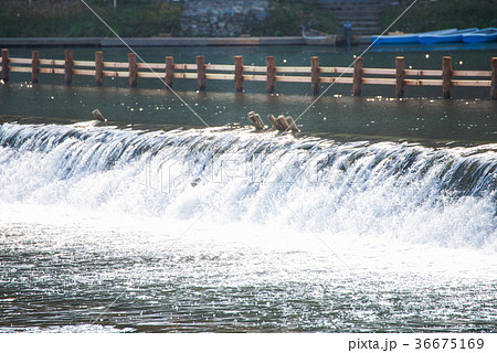 The stream flows through the weir in river  36675169