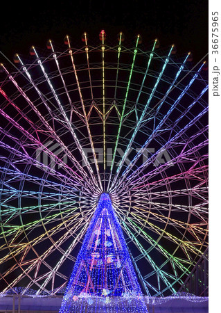 クリスマスイルミネーション クリスマスイルミネーション 36675965