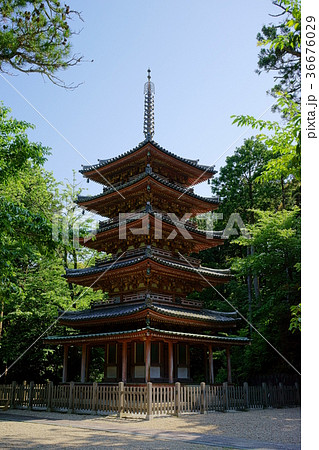 海住山寺五重塔 海住山寺五重塔 36676029