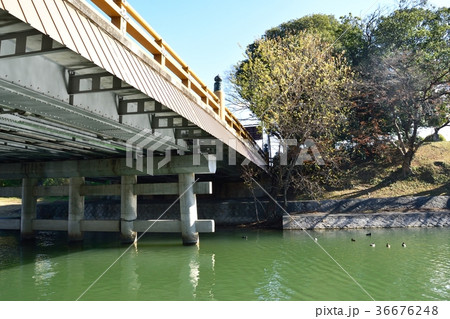 瀬田唐橋 36676248