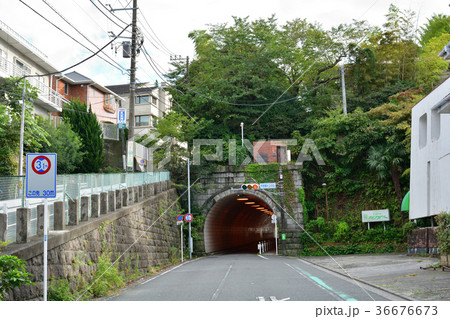 横浜・代官坂トンネル 横浜・代官坂トンネル 36676673