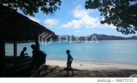 小笠原のビーチ 36677213