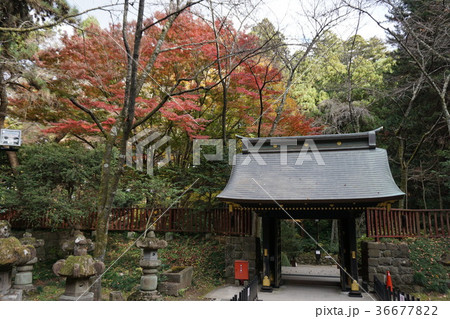 感仙殿善応殿の門 36677822