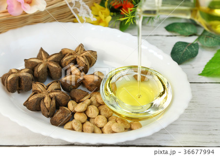 グリーンナッツオイル 36677994