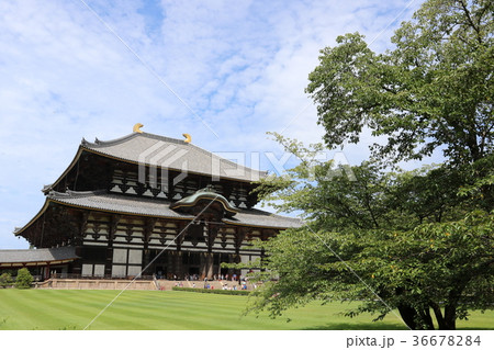 東大寺 東大寺 36678284