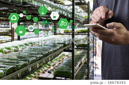 agriculture technology concept man Agronomist agriculture technology concept man Agronomist 36678393