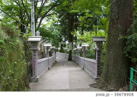 神奈川県 大山阿夫利神社 参道 神奈川県 大山阿夫利神社 参道 36678908